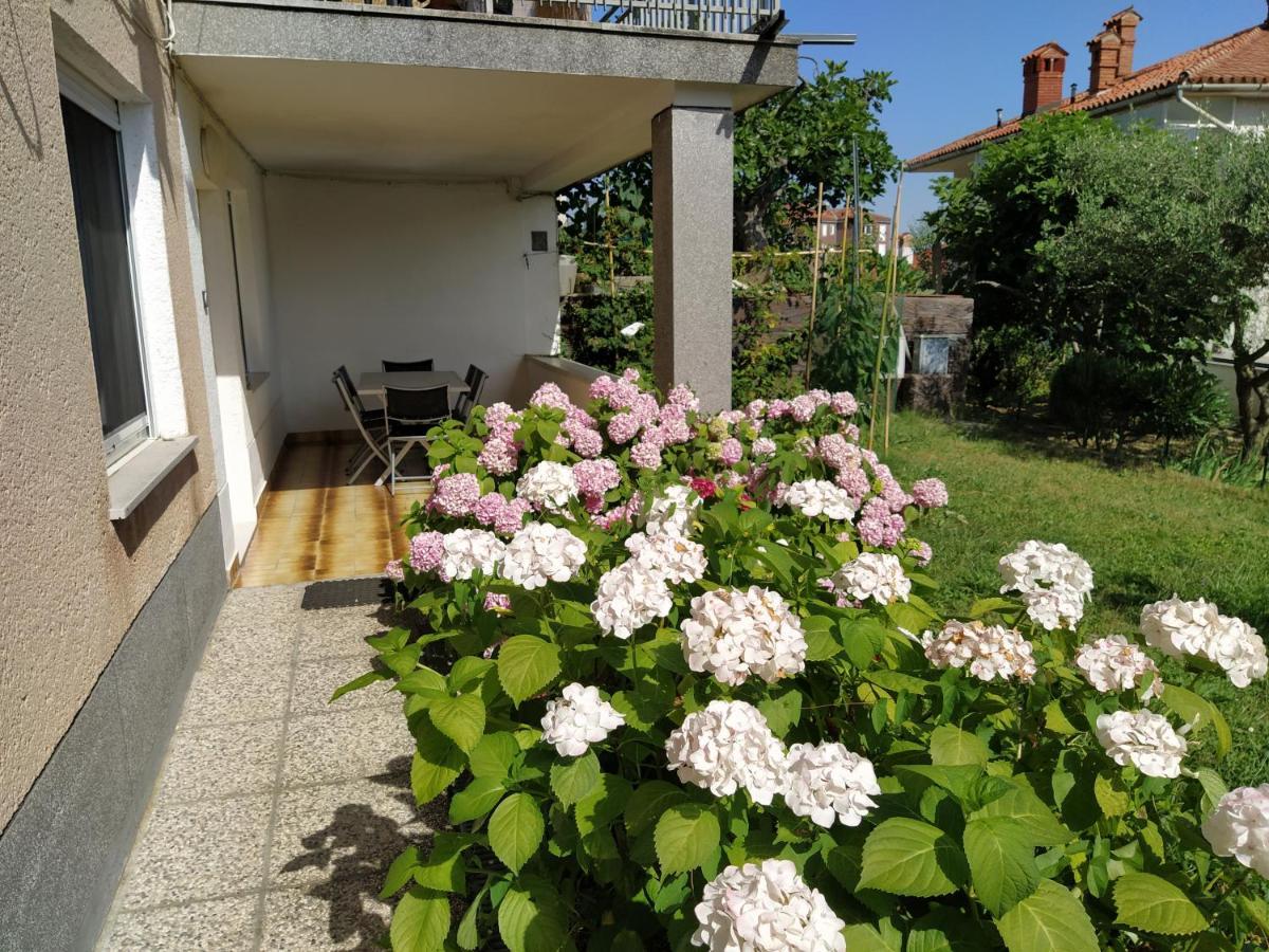 Apartments Buket Jagodje Dış mekan fotoğraf
