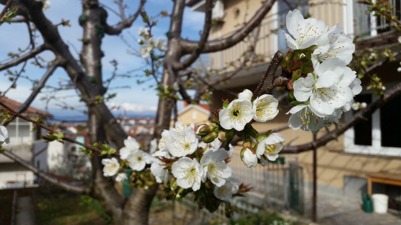Apartments Buket Jagodje Dış mekan fotoğraf